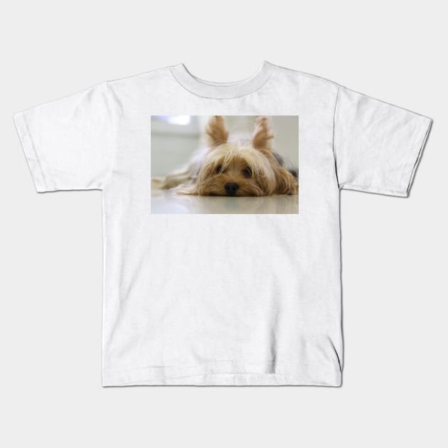 Yorkshire Terrier Laying Flat Kids T-Shirt by Wanderingangel